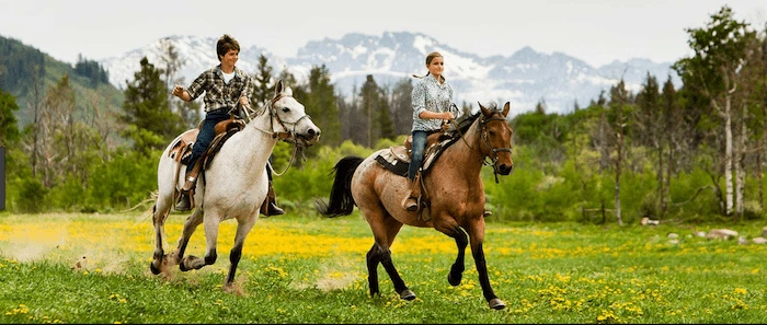 Confident plus-size woman riding Malvern Wells a horse through a field with a smile on her face.
